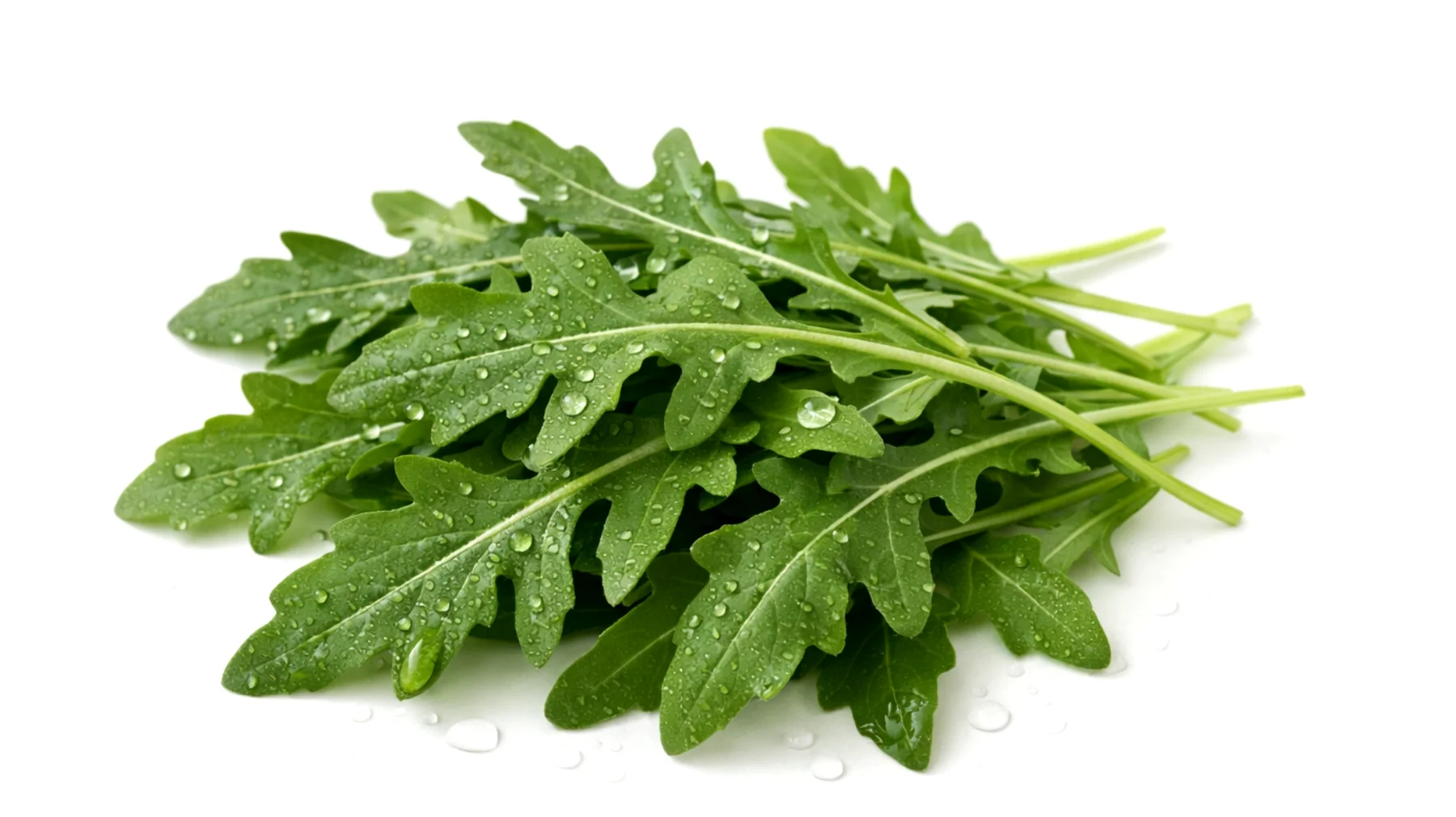 Perché la rucola fa bene al fegato: proprietà, benefici e come consumarla per supportare la funzione epatica"